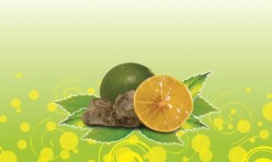 Lime & Sour Plum Juice